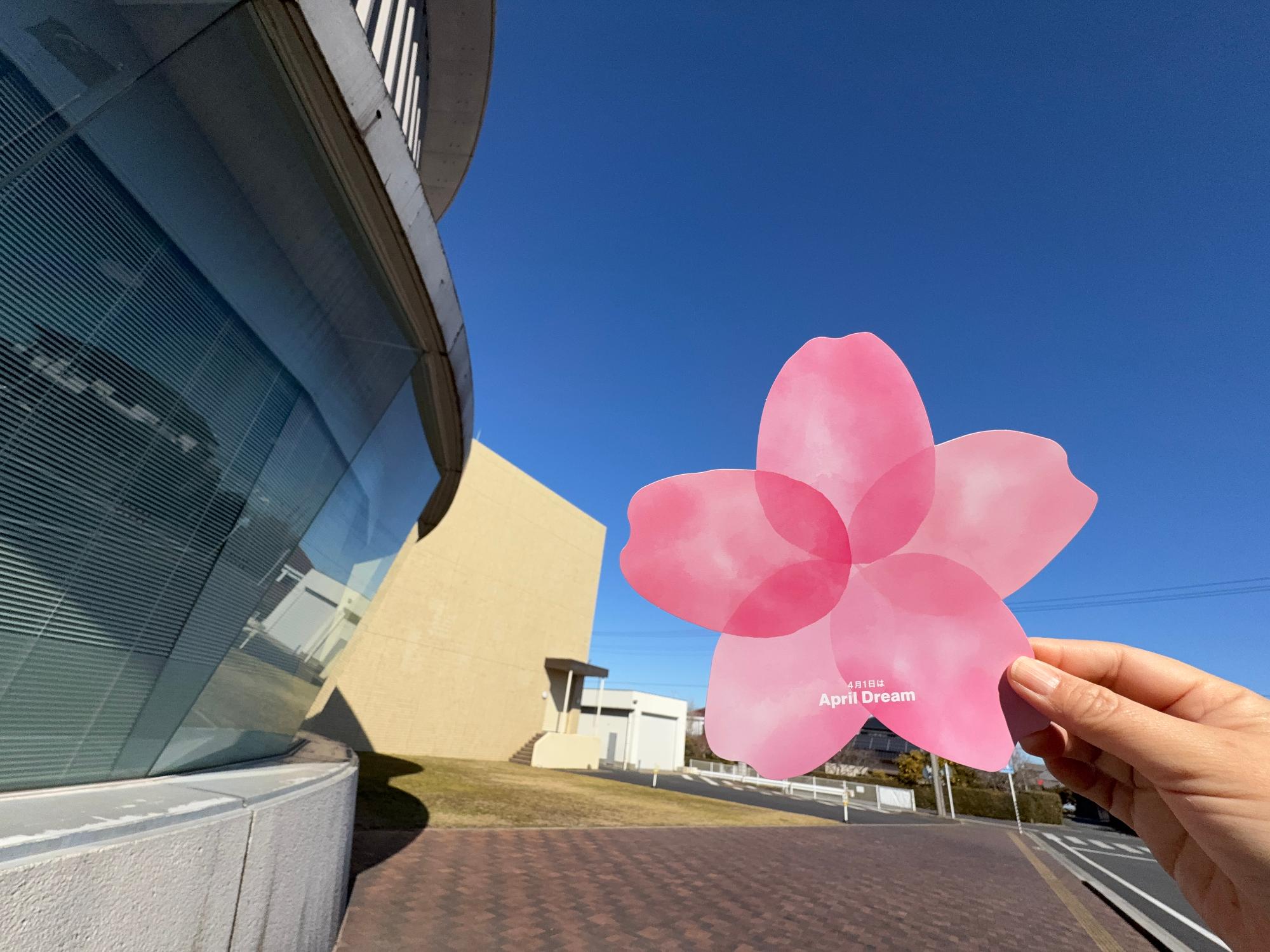 エイプリルドリーム企画の桜型用紙の写真