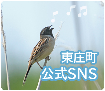 町公式SNS