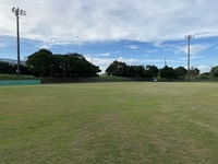 青空のした芝生が広がる野球場の写真