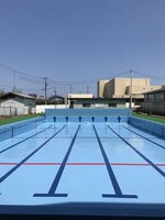 プール内が水色に塗装され、紺色のコースラインが引かれている綺麗になったプールの写真