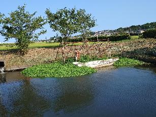 nagaeturunogeitou4