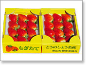 黄色い箱にきれいに並べて箱詰めされたイチゴの写真