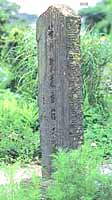 笹川繁蔵最期の跡の石碑が建ち、周りに草が生い茂っている様子の写真