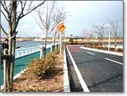 左側に黒部川、川の右側に緑色に塗装された歩道、歩道の横に桜の木が植えられている黒部川護岸の遊歩道の写真
