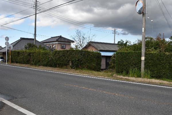 全体